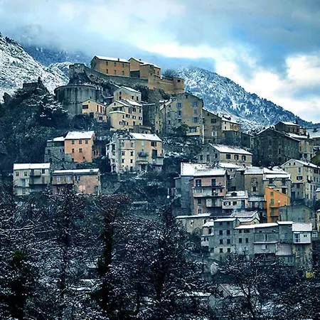 T1 Plein Centre Au 13 Cours Paoli Wifi Gratuit Calme Lumineux Corte