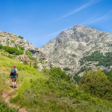 Apartman T1 Plein Centre Au 13 Cours Paoli Wifi Gratuit Calme Lumineux