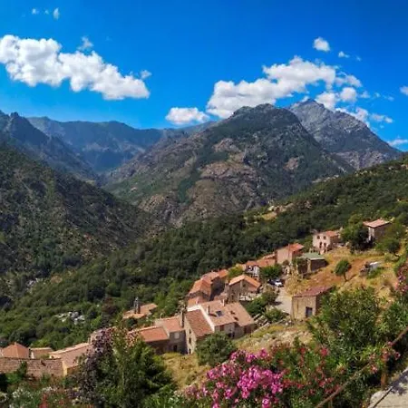 T1 Plein Centre Au 13 Cours Paoli Wifi Gratuit Calme Lumineux Corte