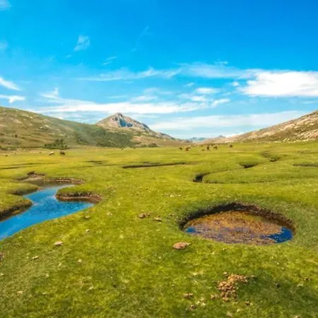 Apartman T1 Plein Centre Au 13 Cours Paoli Wifi Gratuit Calme Lumineux