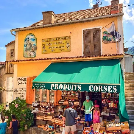 T1 Plein Centre Au 13 Cours Paoli Wifi Gratuit Calme Lumineux Корт