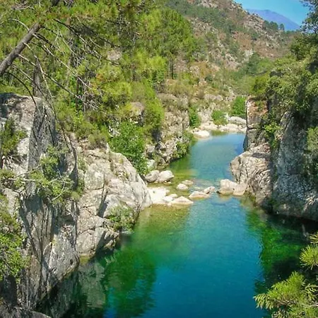 T1 Plein Centre Au 13 Cours Paoli Wifi Gratuit Calme Lumineux דירה