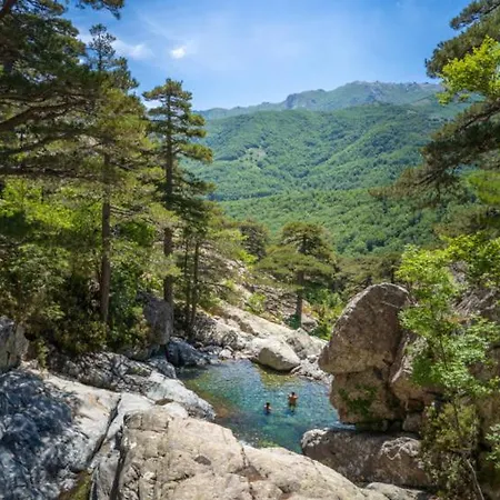 T1 Plein Centre Au 13 Cours Paoli Wifi Gratuit Calme Lumineux