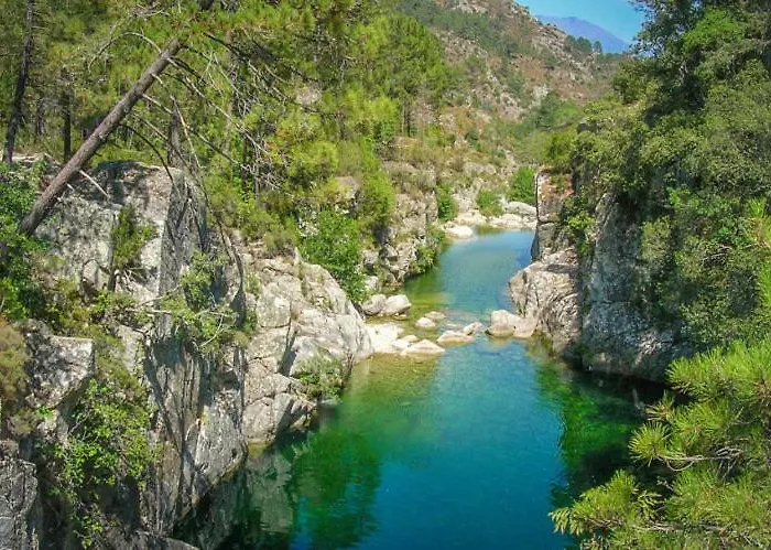 T1 Plein Centre Au 13 Cours Paoli Wifi Gratuit Calme Lumineux Apartmán