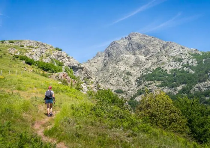 Apartmán T1 Plein Centre Au 13 Cours Paoli Wifi Gratuit Calme Lumineux