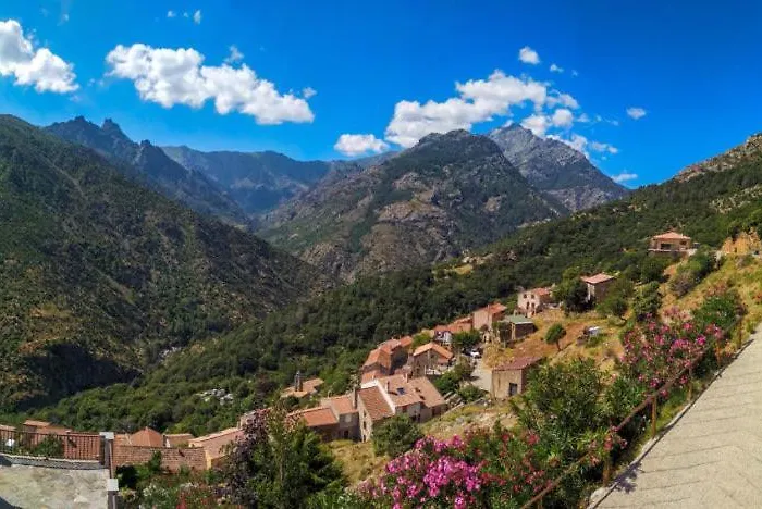 T1 Plein Centre Au 13 Cours Paoli Wifi Gratuit Calme Lumineux Corte (Corsica)