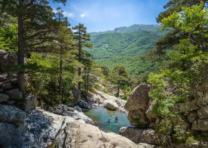 T1 Plein Centre Au 13 Cours Paoli Wifi Gratuit Calme Lumineux