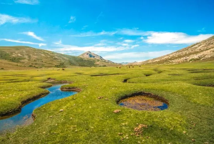 Apartmán T1 Plein Centre Au 13 Cours Paoli Wifi Gratuit Calme Lumineux